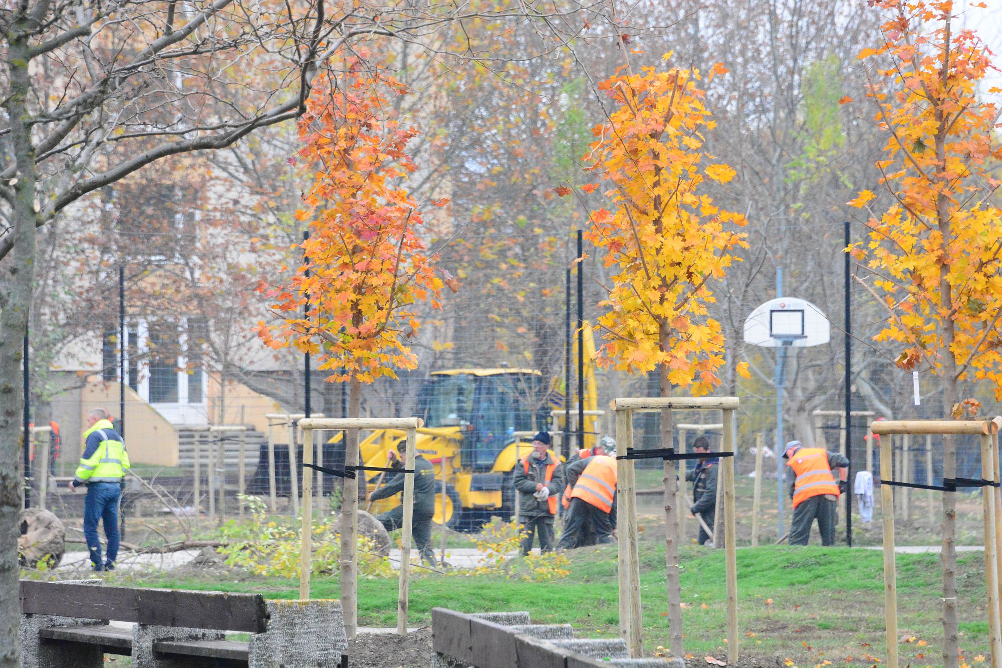 Ligetes park lesz sok fával a Kodolányi utca és a Gellért sor között
